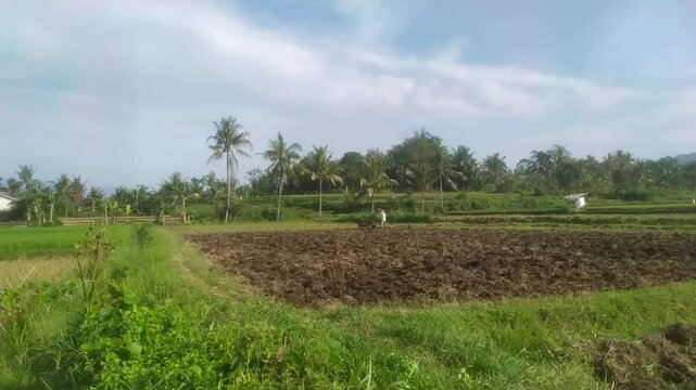 Terlihat dari jauh, tampak Seorang Petani menggunakan traktor untuk Membajak sawahnya (Seeorang Petani membajak sawah) Hari Petani

