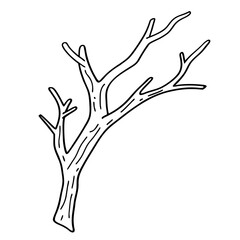 bare tree branch without leaves autumn nature vector icon