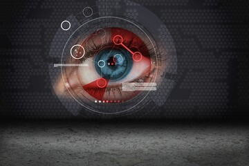 Security interface scanning eye