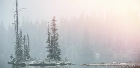 Fototapete Rund Scenic view of snow covered trees © vectorfusionart
