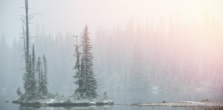 Fototapeta Scenic view of snow covered trees