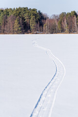 Winding Snow Tracks on Frozen Forest Lake