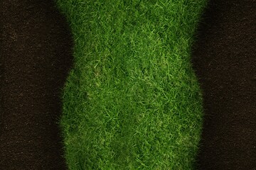 Flat design showing top-down view of curved dense green grass stripe flanked by dark soil