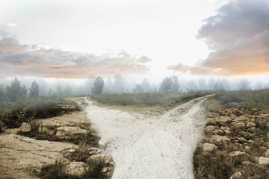 Fototapeta Path leading to the horizon in countryside