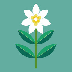 Stylized White Flower with Green Leaves on Teal Background Artwork Design