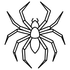 Modern Wolf Spider Outline Graphic