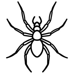 Modern Wolf Spider Outline Graphic
