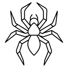 Modern Wolf Spider Outline Graphic