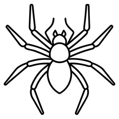 Modern Wolf Spider Outline Graphic