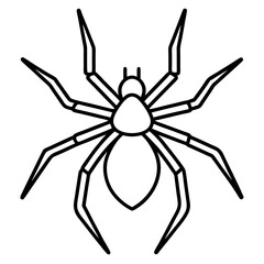 Modern Wolf Spider Outline Graphic