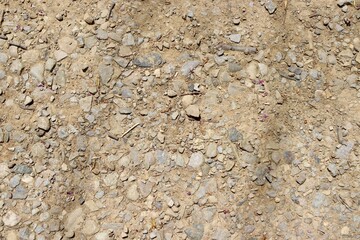 The stones and rocks in the hard dirt ground surface.