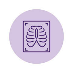 X-ray vector, pixel perfect, illustrator file 
