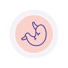 Stomach vector, pixel perfect, illustrator file 
