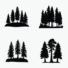 black and white redwood tree line art silhouette, vector illustration on white background
