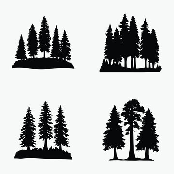 black and white redwood tree line art silhouette, vector illustration on white background
