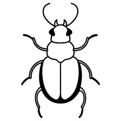 Stylized Beetle Line Art in Vector Format