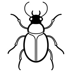 Stylized Beetle Line Art in Vector Format