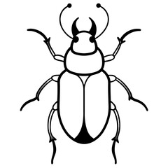 Stylized Beetle Line Art in Vector Format