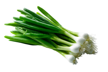 Fresh green onions ready for cooking and garnishing meals