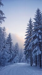 Naklejka premium Snowy landscape with tall pine trees under soft winter light 