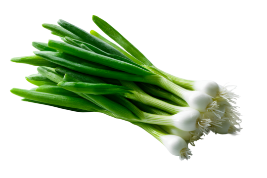 Fresh green onions ready for cooking and garnishing meals