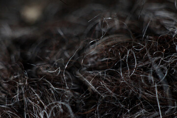 Intricate Strands: A close-up, high-angle view reveals a textured weave of dark hair, showcasing individual strands intertwined, creating an abstract pattern of texture and depth.