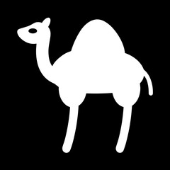 Dromedary Camel
