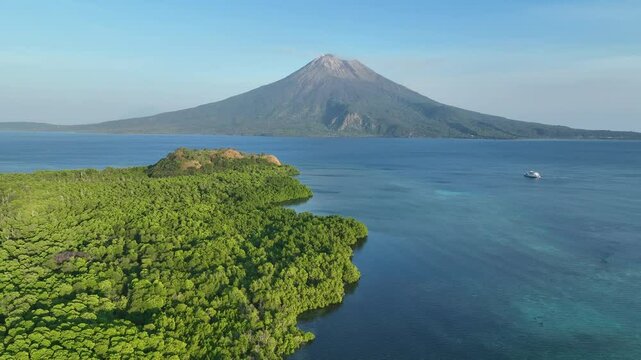 An extensive mangrove grows on the island of Lembata in the Lesser Sunda Islands, not far from Alor. This tropical area harbors many marine habitats and thus supports spectacular marine biodiversity.