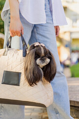 Woman with Shih Tzu dog sitting on outdoor bench
