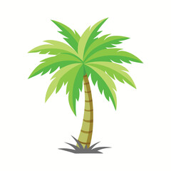 Palm Tree Vector on White Background 