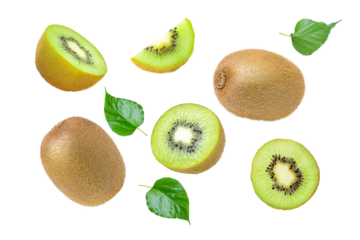 set of kiwi fruit isolated