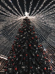 New Year tree. New Year and Christmas decorations with red and silver bubbles. High quality photo