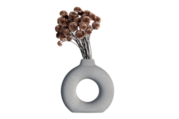 Brown flower in vase isolated on white background