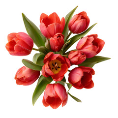 Obraz premium Red Tulips Bouquet Spring Flowers Black Background,