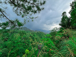 Fototapeta premium Beautiful summer landscape of green pine trees in a mountain forest under a blue sky with cloudsBeautiful summer landscape of green pine trees in a mountain forest under a blue sky with clouds