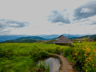 Rice terraces in Mae Chaem, Chiang Mai, Thailand is serene view of green fields fresh air flowing streams and misty skies. Nature's beauty in the winter season invites calm relaxation. photo by phone