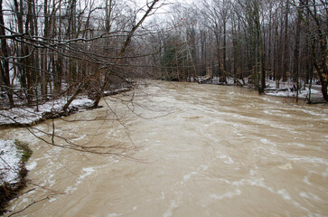 Snowy winter walk in the park