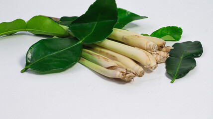 Aromatic Lemongrass and Kaffir Lime Leaves: A close-up shot showcases a bunch of fresh lemongrass...