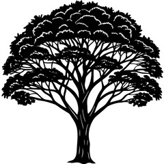 Obraz premium silhouette of tree