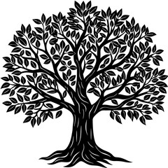 Obraz premium tree with roots