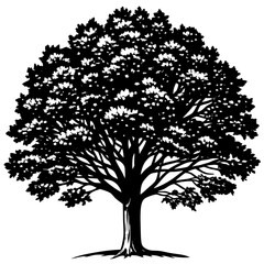 Fototapeta premium vector tree silhouette