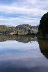 Calm lake reflecting the sky and the forested shoreline with Araucaria trees. Lake Matetuwe, Villa Pehuenia, Argentina