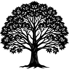 Obraz premium tree silhouette isolated on white