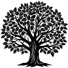 Obraz premium tree with roots