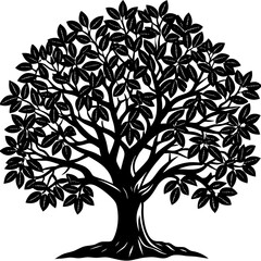 Obraz premium tree with roots