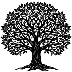 Obraz premium tree with roots