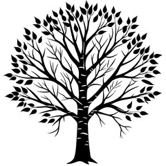 Obraz premium tree with roots