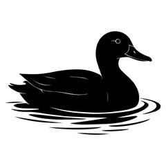 Black duck swimming in water vector illustration for wildlife and nature themed design projects and printables