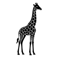 Obraz premium Isolated giraffe vector illustration silhouette africa animal wildlife zoo safari mammal neck tall spots art