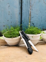Herb garden setup with pots and gardening tools at home